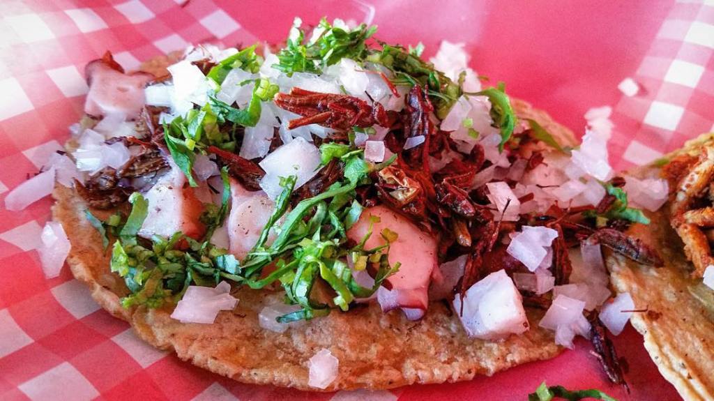 12534286_802957146480750_1375610693_n